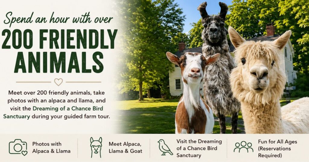 One of the best things to do in the Hudson Valley